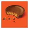 Reeses Peanut Butter Cups Bar, Full Size, 1.5 oz Bar, 2 Cups/Bar, PK36 44000